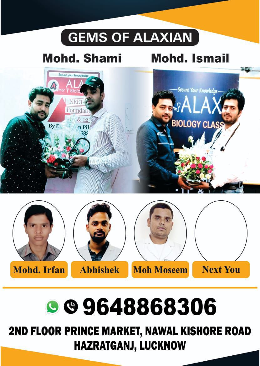 Gems of Alaxian Success Stories